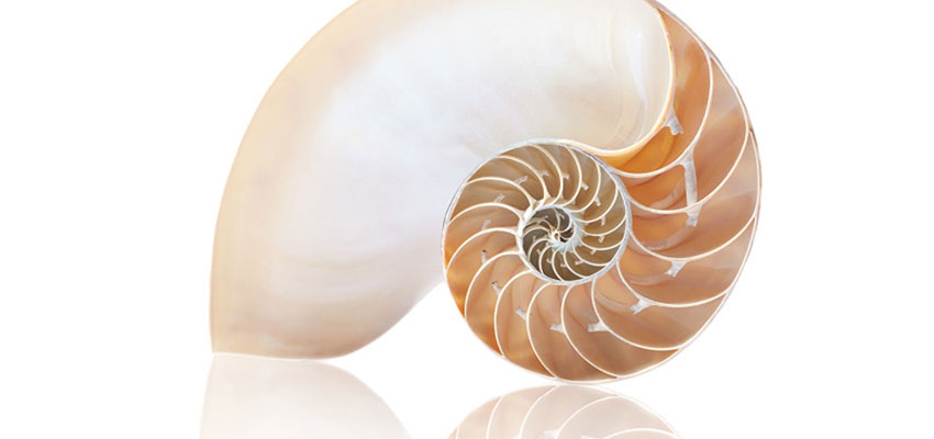 God’s order reigns in nature and philosophy