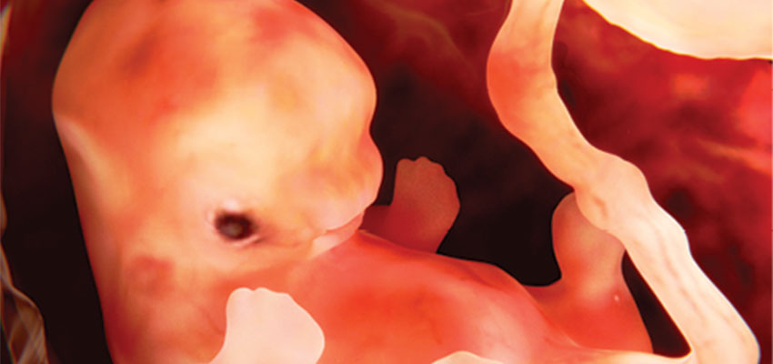 Alabama high court rules unborn are persons