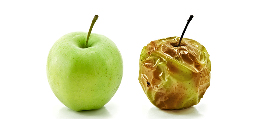 “A good tree cannot bear evil fruit, nor can a corrupt tree bear good fruit.” Matt 7:18