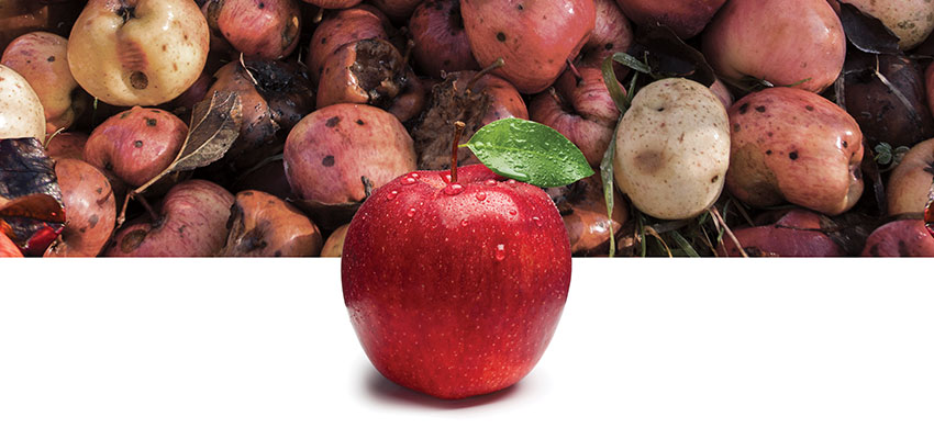 Academia: where one good apple spoils the bias