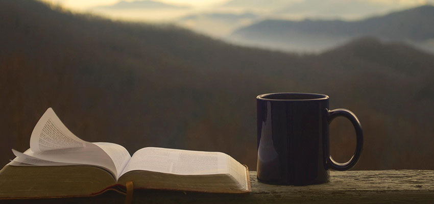 Most read books in the Bible