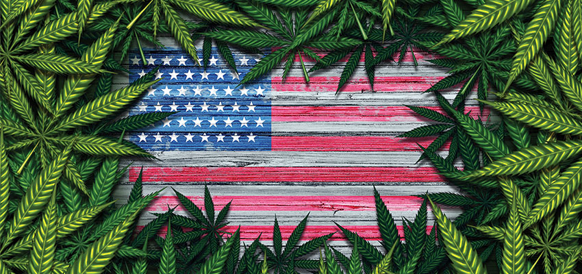 Journalist challenges pot propaganda