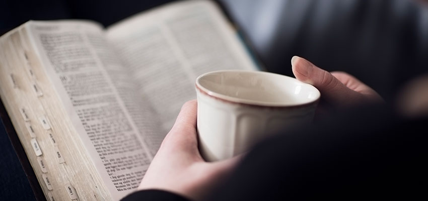 Dispense with despair, walk in the Word