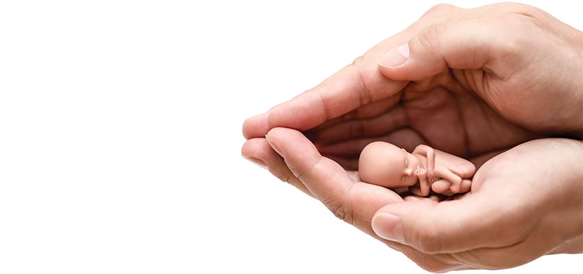 Aborted baby harvesting to continue, HHS dissolves Trump ethics board