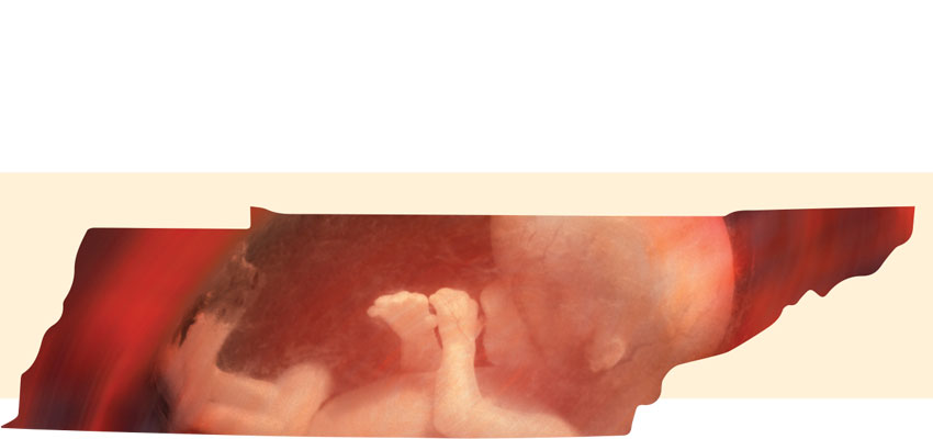 Federal court upholds Tennessee abortion waiting-period law