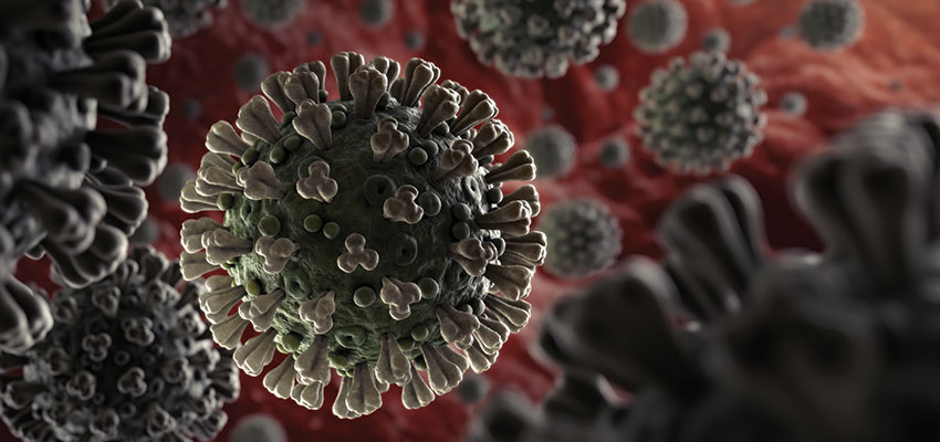 Israel researching first oral vaccine