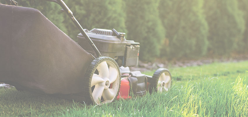 Alabama man mows vets’ yards in 50 states