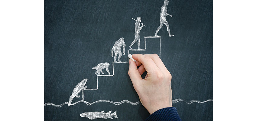 Class time for teaching evolution on the rise