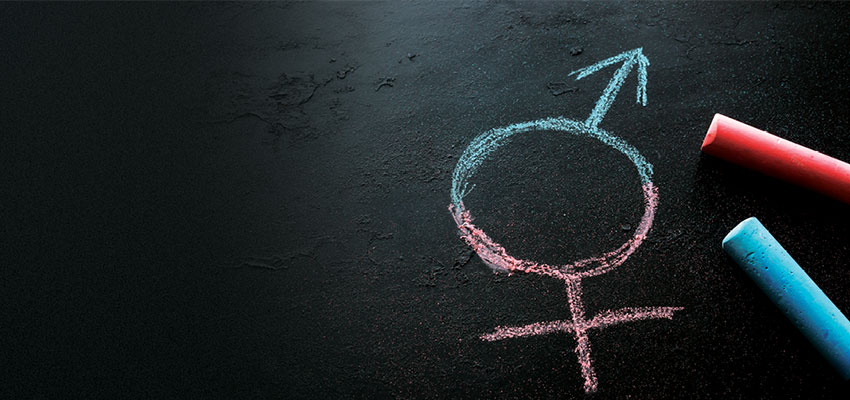 Transgender child custody case continues
